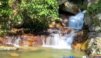 Air Terjun Sungai Ara - Penang