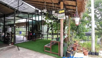 Dhamma Earth - Kuala Lumpur 法域 - 吉隆坡 (传法生态林) - Semenyih
