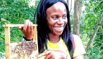 Dma Gombizau Honey Bee & Kelulut Bee - Kudat