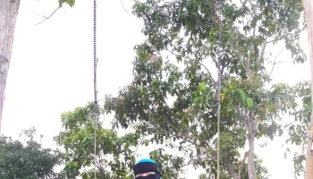 Matanoi Hill - Keningau