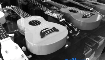 The Guitar House - 207g