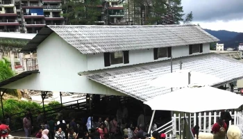 The Sheep Sanctuary - Brinchang