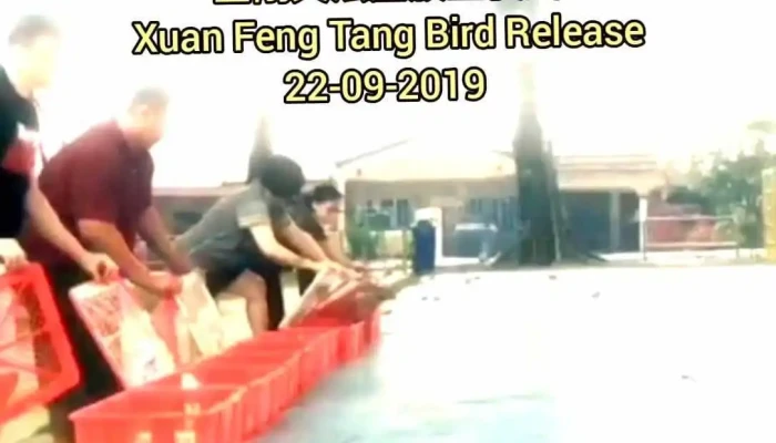 Jin Gang Tian Fa Xu Jin Gang Tian Fa Xu Video - Petaling Jaya