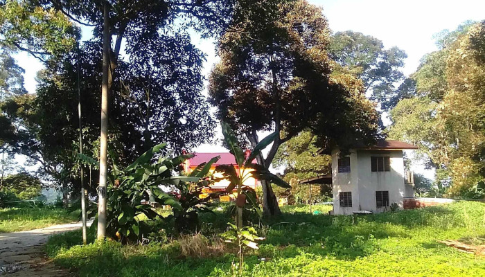 Tian An Tang Zhun Ti Pu Sa Ulasan - Bukit Bakri