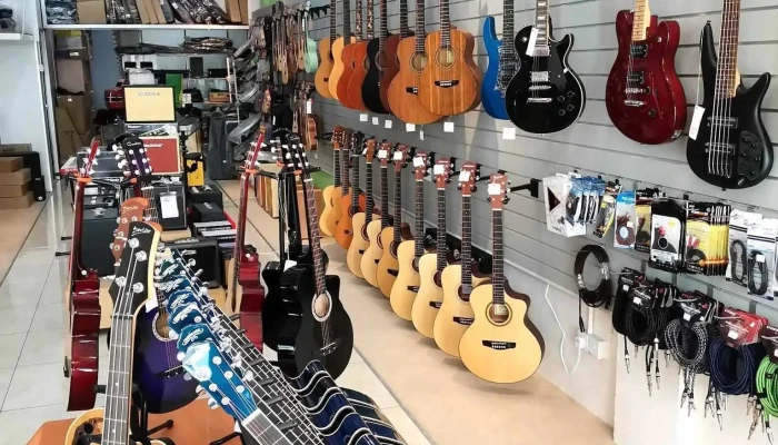 Amivog Music Store - Jalan Bunga Pekan