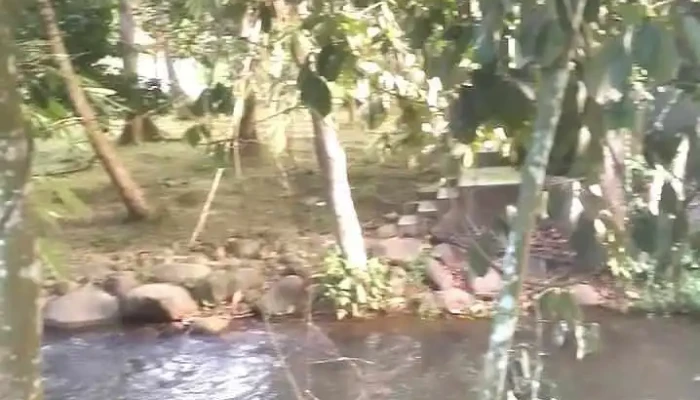 Balakong -  Video - Balakong