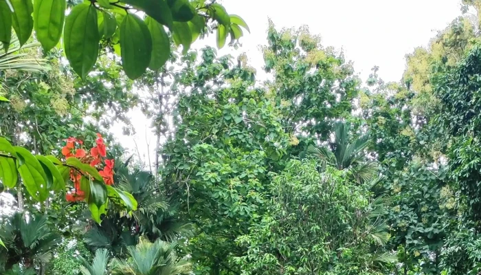 Balung River Eco Resort -  Promosi - Tawau
