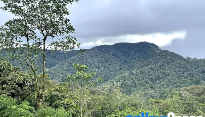 Banjaran Crocker 16 Miles Spot Kimanis Sabah Gunung - Keningau