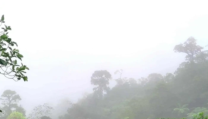 Banjaran Crocker 16 Miles Spot Kimanis Sabah Harga - Keningau