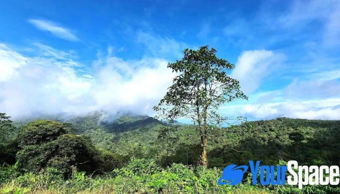 Banjaran Crocker 16 Miles Spot Kimanis Sabah Tempat Tarikan Pelancong - Keningau
