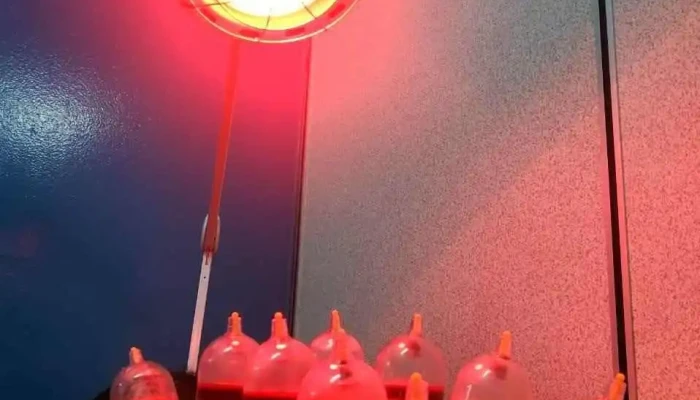 Bekam Urutan Resdung Terapi Tulang Saraf Al Fashdu By Sena Wellness Centre Pengamal Perubatan Alternatif - Kangar
