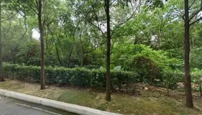 Beufit Wellness Studio Street View 360deg - Petaling Jaya