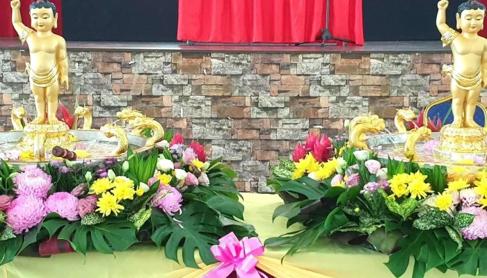 Bodhi Meditation Ipoh Malaysia Pu Ti Shan Xiu Ma Lai Xi Ya Yi Bao Promosi - Ipoh