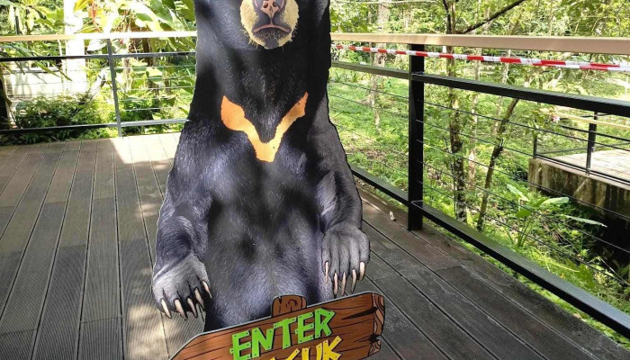 Bornean Sun Bear Conservation Centre (bsbcc) - Elopura