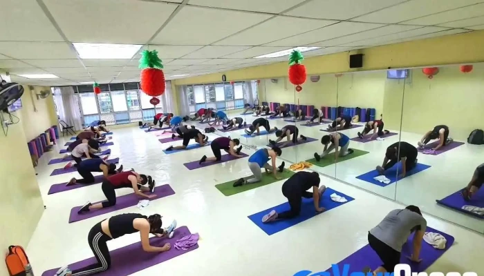 Cds Yoga Centre -  Yoga - Kangar