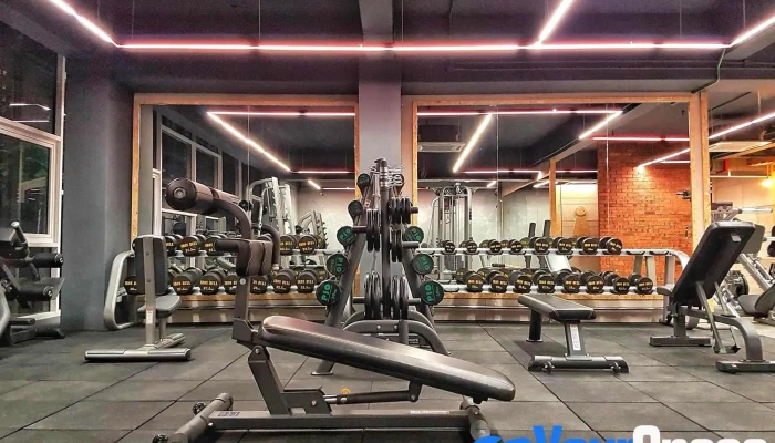 Coliseum Fitness -  Gim - Petaling Jaya