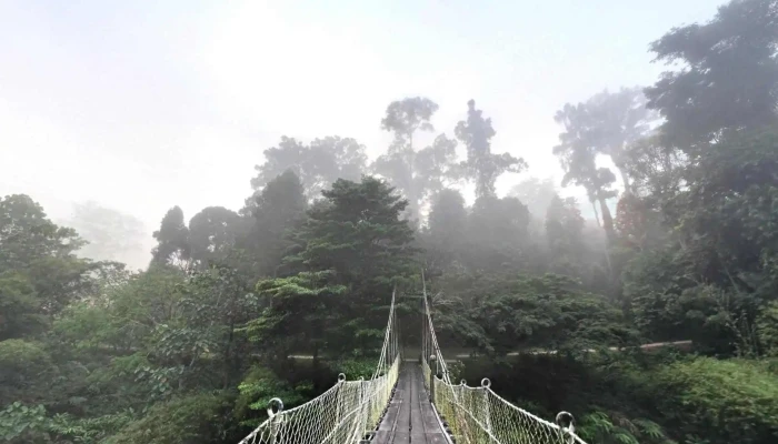 Danum Valley Field Centre -  Street View 360deg - Lahad Datu