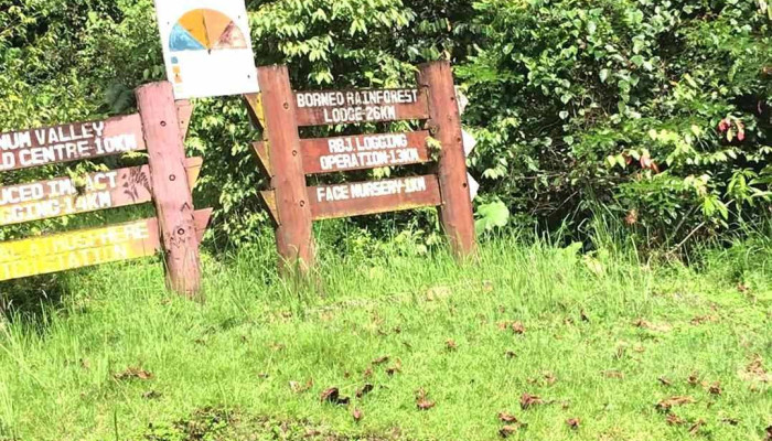 Danum Valley Field Centre -  Video - Lahad Datu