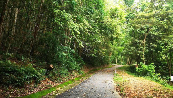 Darulaman Hills -  Kawasan Kembara Berjalan Kaki - Jitra