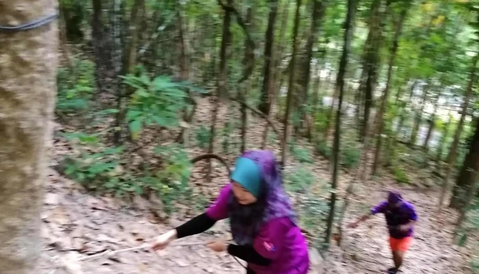 Darulaman Hills -  Kawasan - Jitra