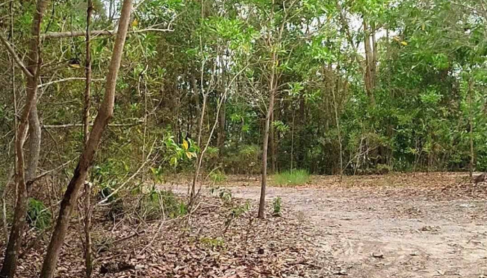 Darulaman Hills -  Video - Jitra