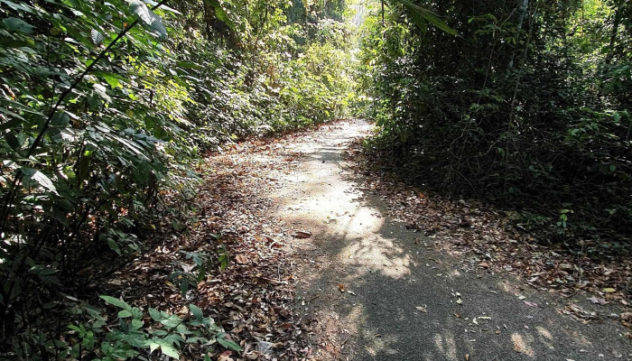 Darulaman Sanctuary -  Instagram - Langkawi