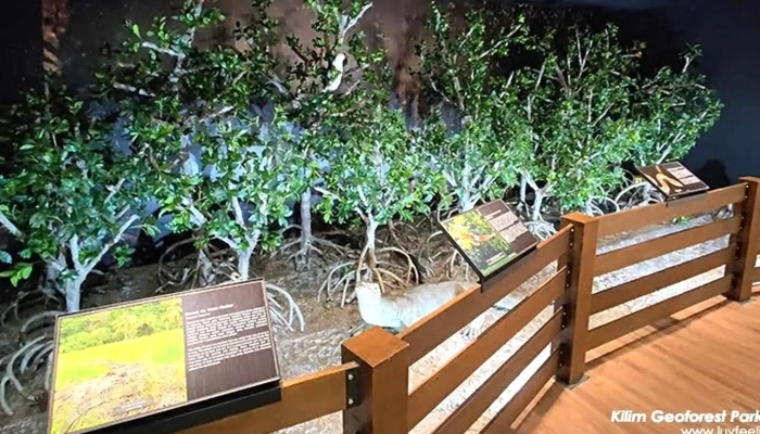 Discovery Centre Langkawi Unesco Global Geopark Ulasan - Langkawi