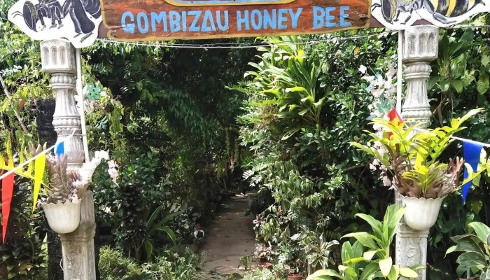 Dma Gombizau Honey Bee Kelulut Bee Berdekatan Saya - Kudat