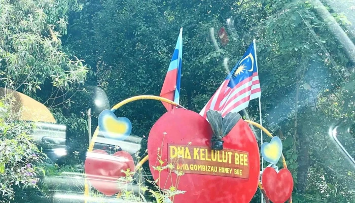 Dma Gombizau Honey Bee Kelulut Bee Diskaun - Kudat