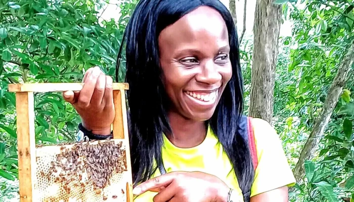 Dma Gombizau Honey Bee & Kelulut Bee - Kudat