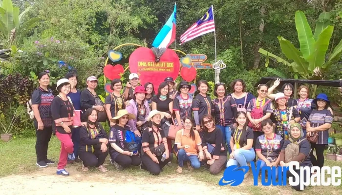 Dma Gombizau Honey Bee Kelulut Bee Oleh Pemilik - Kudat