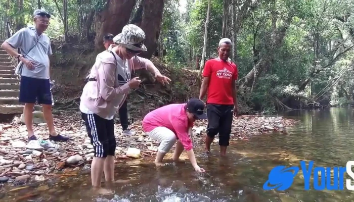 Durian Hill Villa -  Video - Gua Musang