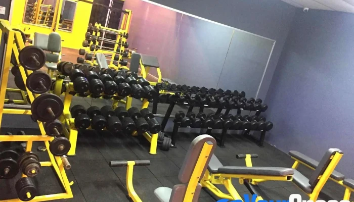 Dynamic Fitness Zone -  Gimnasium - Ipoh