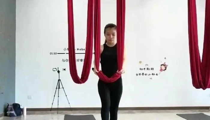 Fitsy Bayan Lepas Formerly Flying Yoga Cat Oleh Pemilik - Bayan Lepas