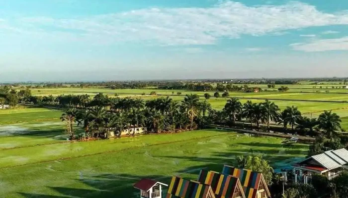 Homestay Padi Hijau -  Oleh Pemilik - Sungai Besar