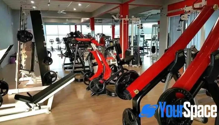 Infinity Gym Fitness -  Gimnasium - Kulim