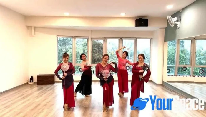 Iv Dance Studio -  Sekolah Tarian - Klang
