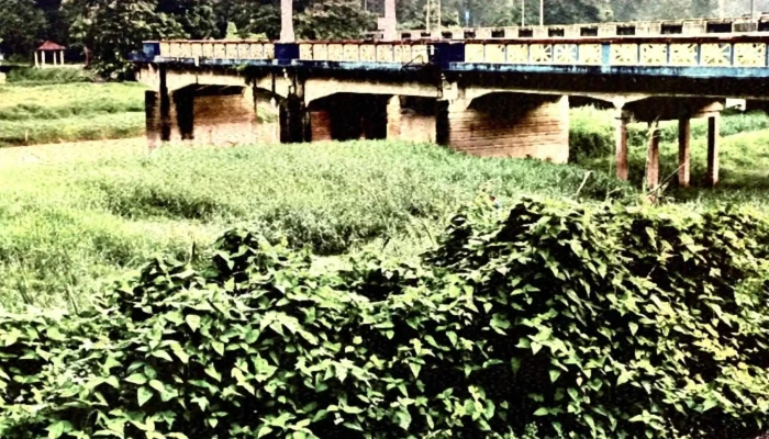 Jambatan Putus Buloh Kasap Broken Bridge Berdekatan Saya - Buloh Kasap