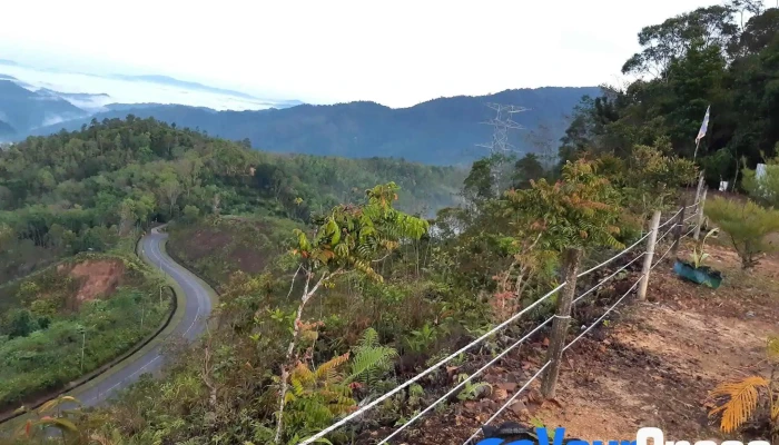 Kalangadan Hill Campsite -  Gunung - Kota Belud
