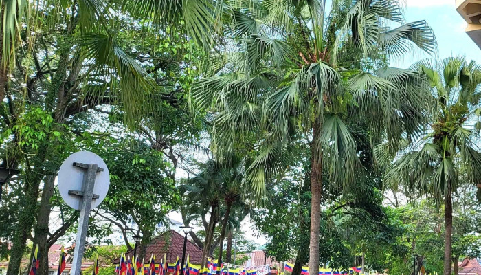 Kampung Pandan Kari Kepala Ikan Termasyur -  Putrajaya - Putrajaya