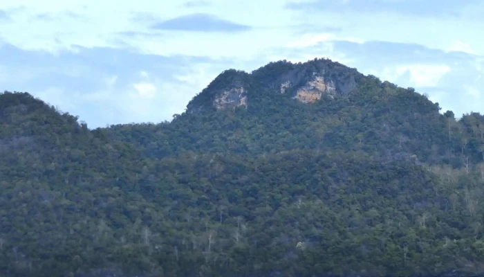 Kilim Geoforest Park -  Ulasan - Langkawi