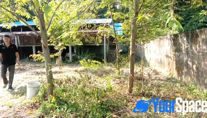 Klinik Desa Pulau Jawa - Pekan