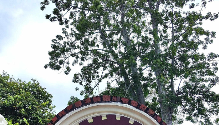 Kota Mahsuri -  Diskaun - Langkawi