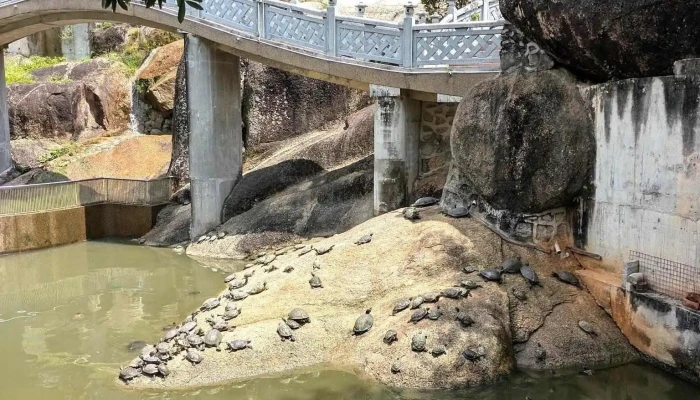 Kuil Kek Lok Si -  Terkini - Ayer Itam