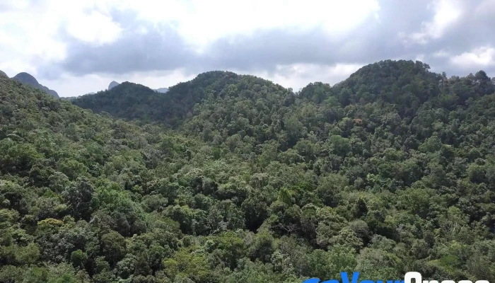 Langkawi Sky Bridge -  Hutan Lipur Air Terjun Temurun - Langkawi