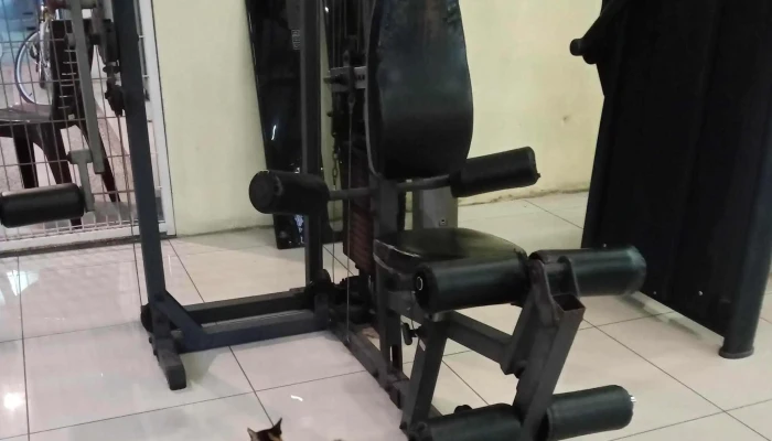 Lite Fitness Raub -  Laman Web - Raub