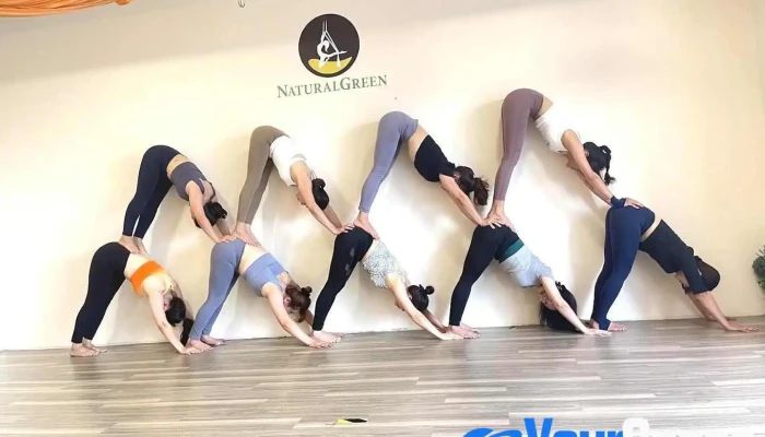 NaturalGreen Yoga Studio - Skudai