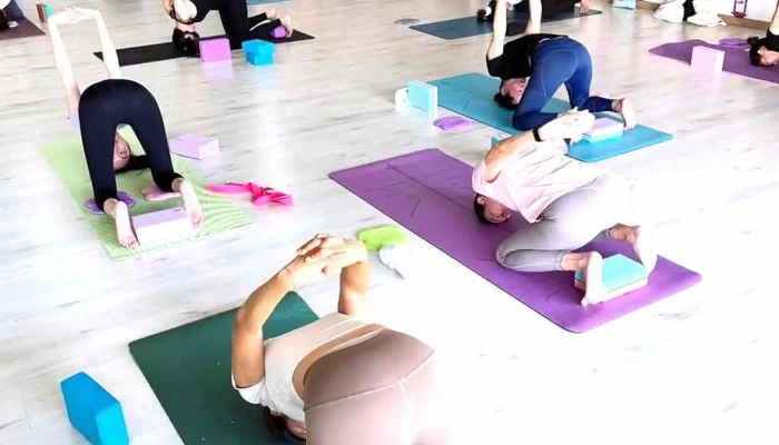 Netizen Happy Yoga Dance Studio -  Harga - Cheras