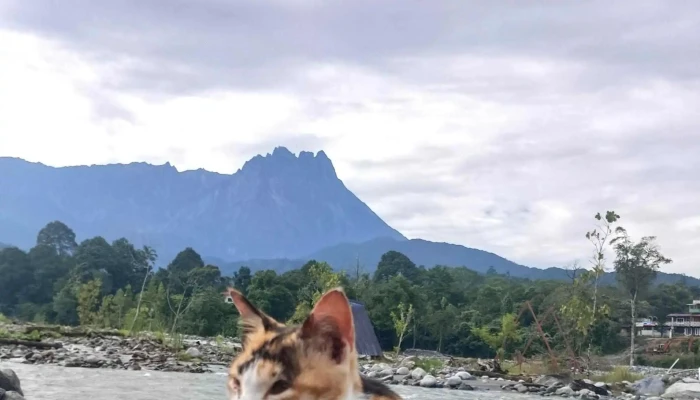 Nohutu Ecotourism -  Instagram - Kota Belud