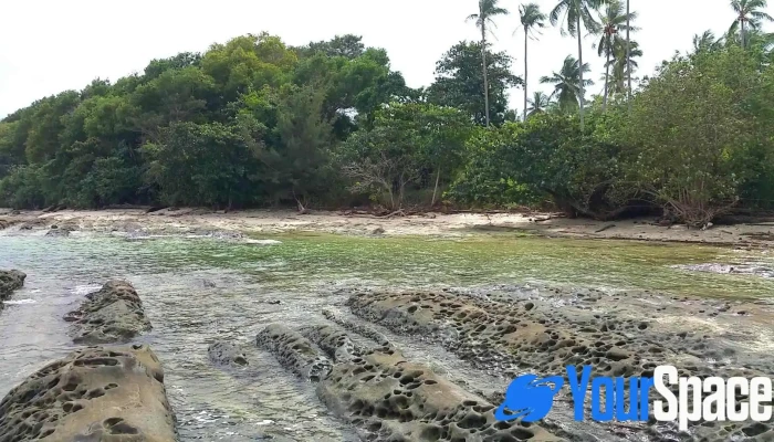 North Borneo Biostation -  Video - Kudat